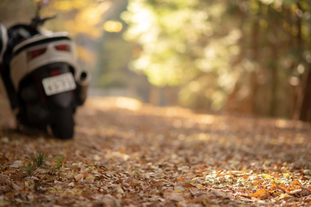 ビッグスクーターと秋の道